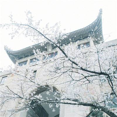 总书记两会后首次考察指引“十五五”开局起步